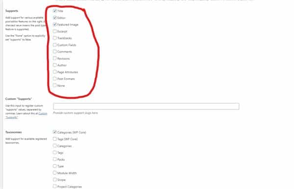 Wordpress Custom Post Types and Why Should You Use Them? 8 Add Post Type 3rd Settings