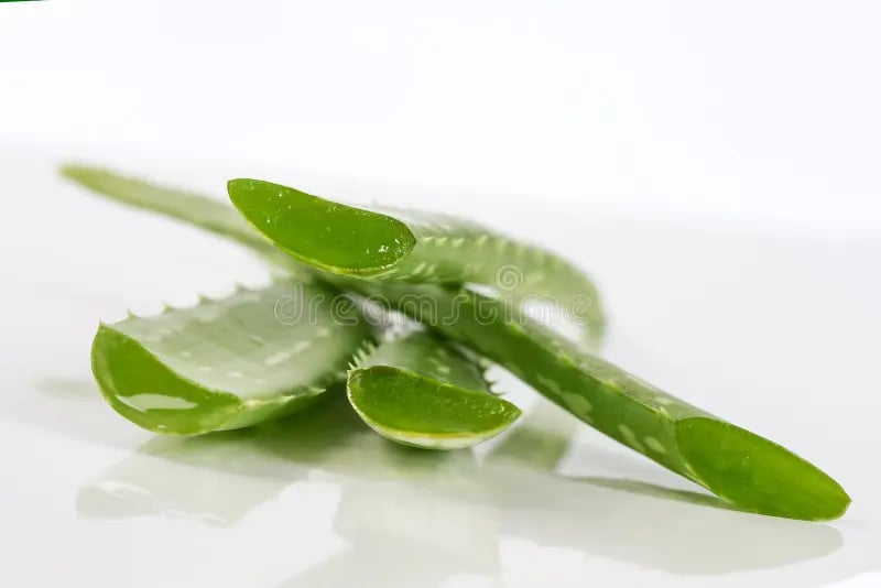 fresh aloe vera leaves isolated grey 62899538