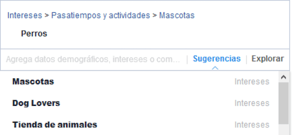 Como-segmentar-correctamente-en-Facebook-Ads-5