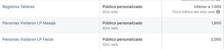 publicos personalizados en facebook-ads