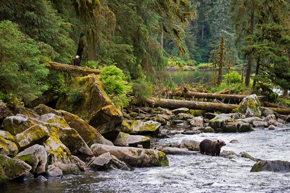 Tongass National Forest