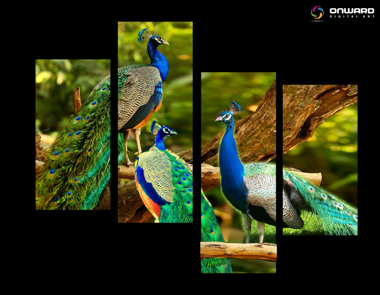 Wall Murals 7 onwarddigital art