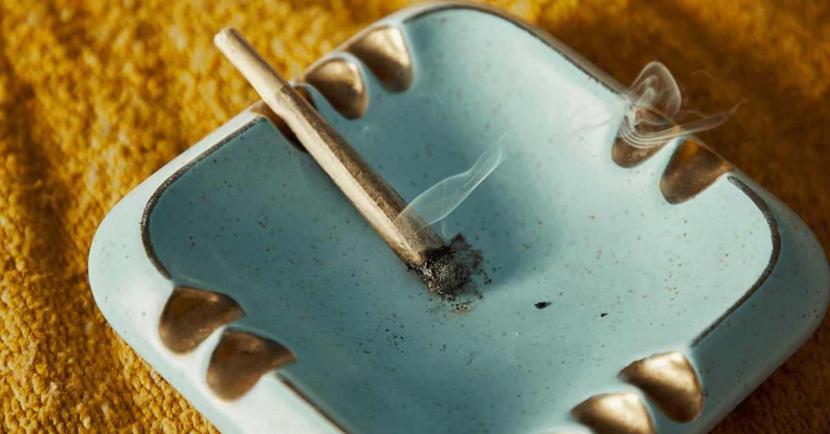 Wietexperiment met overheidswiet - coffeeshop John & Co geopend in Hellevoetsluis