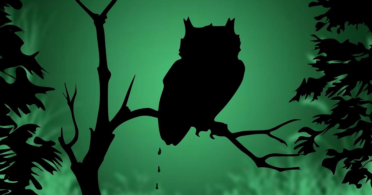 Wietexperiment met overheidswiet - Nieuw Sociaal Contract is niet cannabisvriendelijk