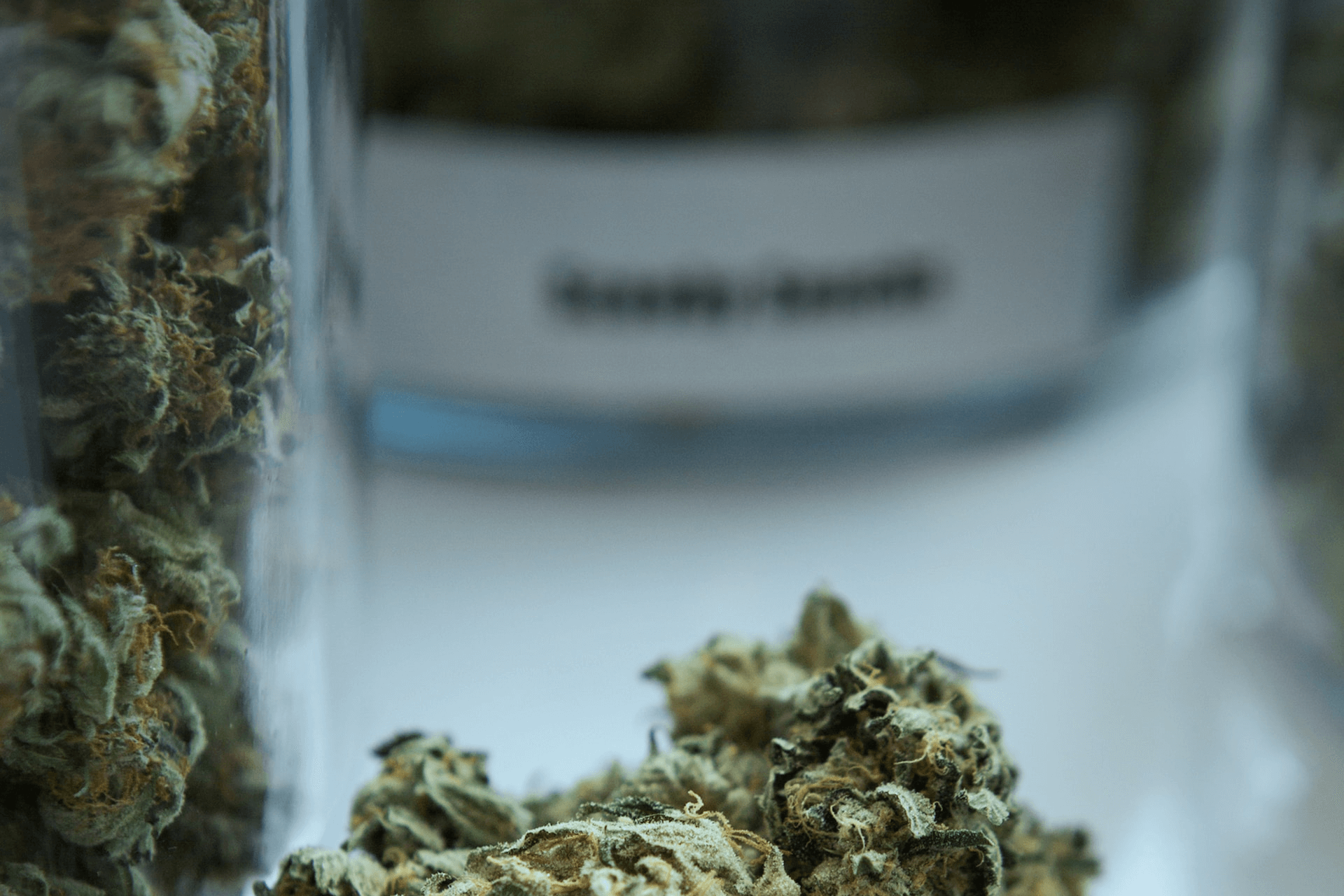 Het was een speling van het lot dat Fred van de Wiel professioneel met cannabis is gaan werken.