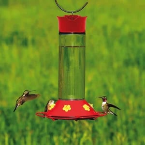Hummingbirds at their feeder