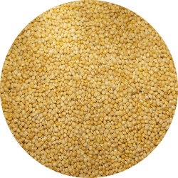 Seed-Circle-White-Millet