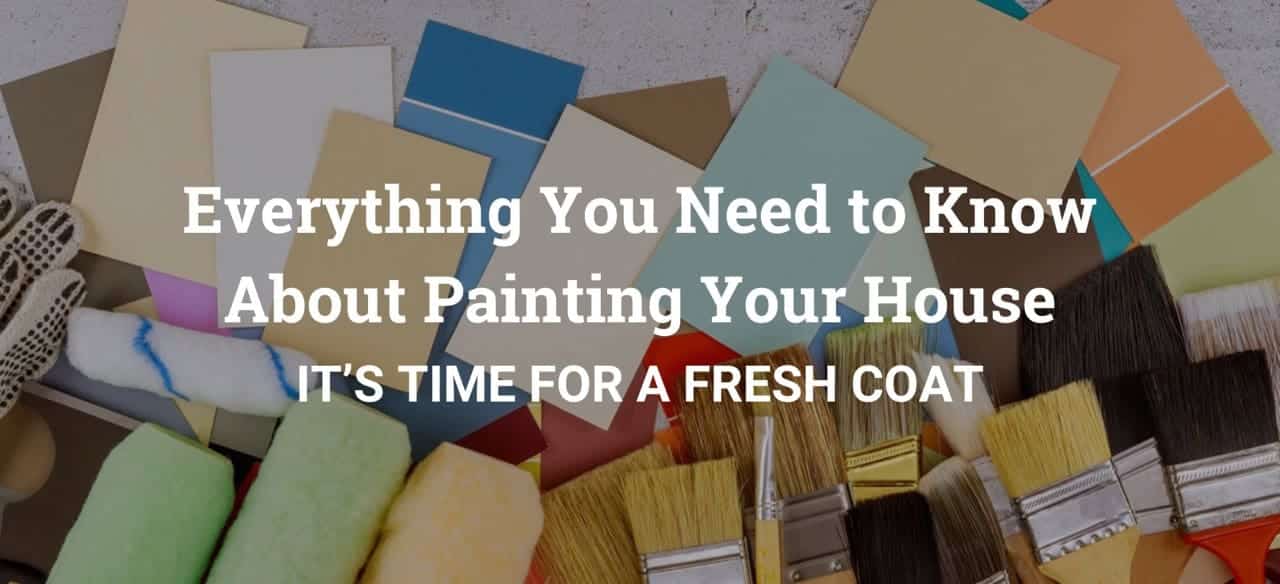 Copy of OAH Nov Blog – PAINT 2024 img-2