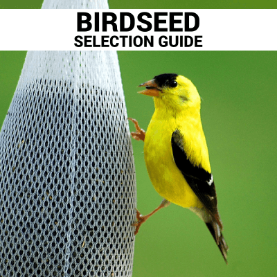 Birdseed-Selection-Guide img-2