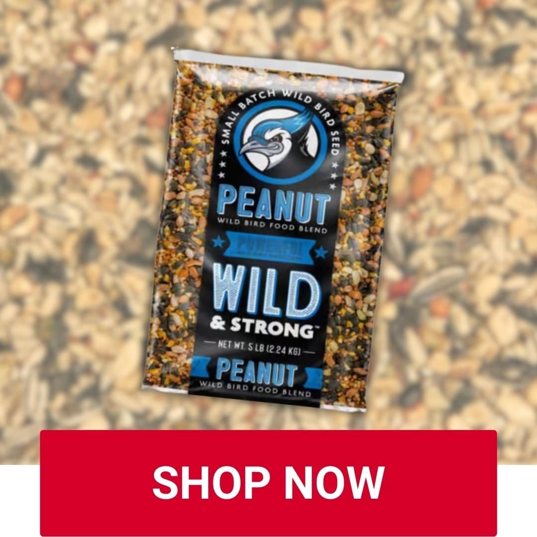 Peanut Wildlife Food for birds at Owenhouse Ace Hardware