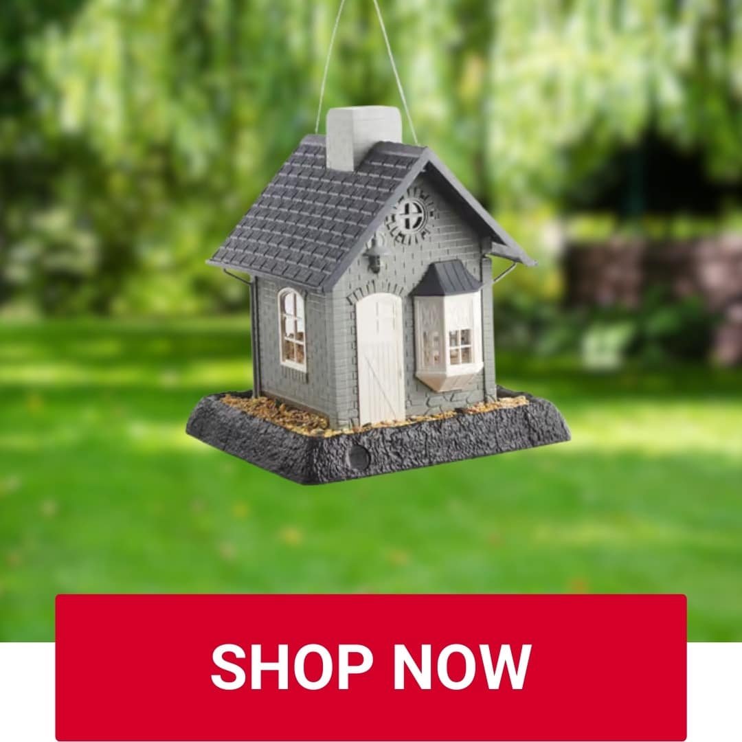 Bluebird Feeder Owenhouse Ace Hardware