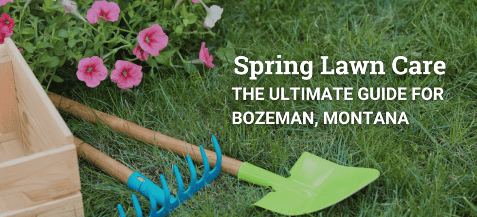 Ultimate Guide to Spring Lawn Care in Bozeman