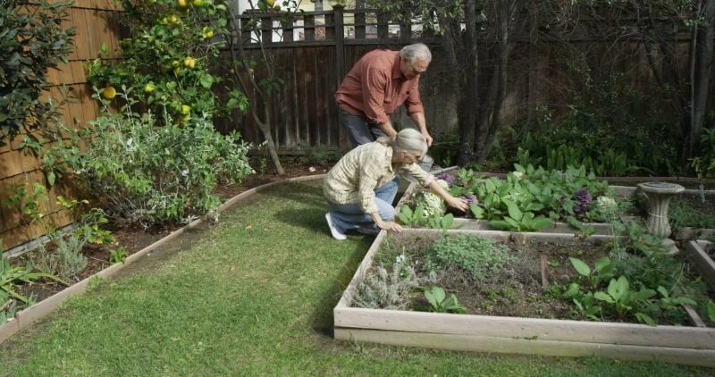 an older couple building a raised garden bed in bozeman montana