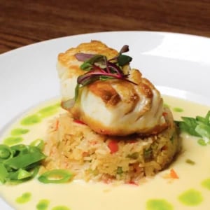 scallops on bed of rice dish