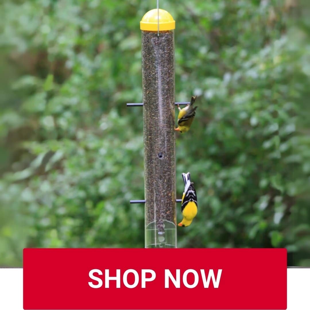Perky-Pet Tube Feeder at Owenhouse Ace Hardware
