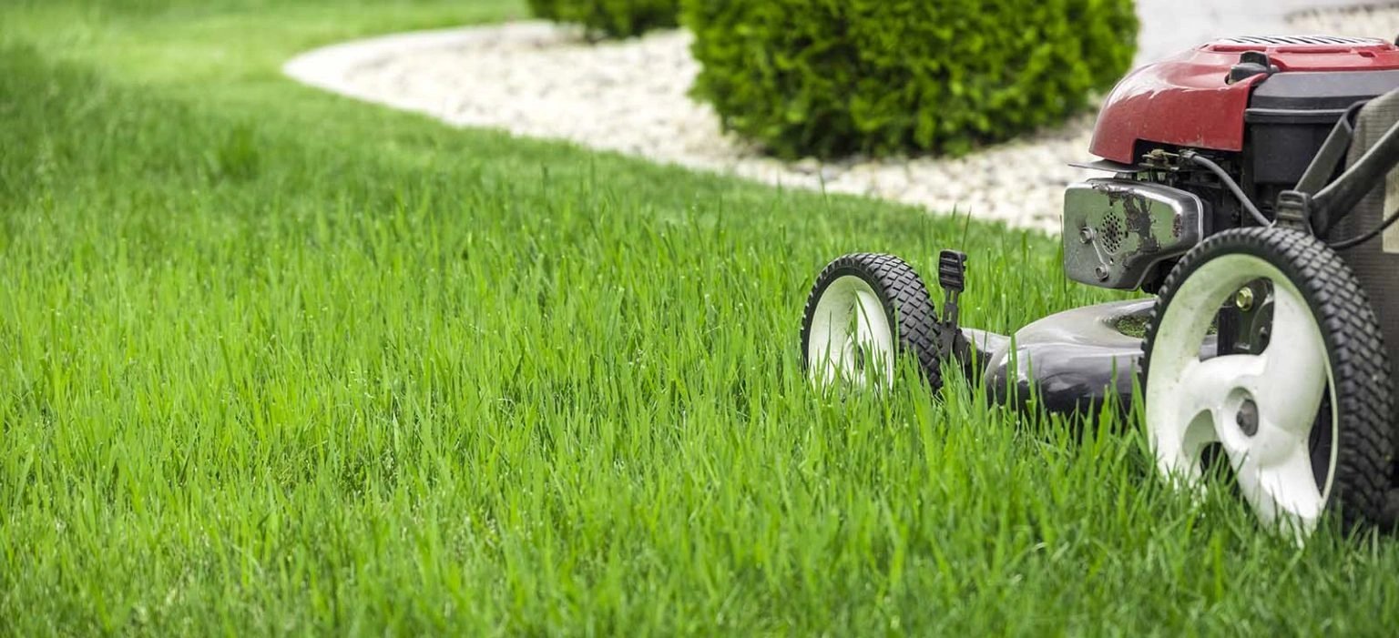 picture of a push lawn mower mowing green grass in bozeman montana