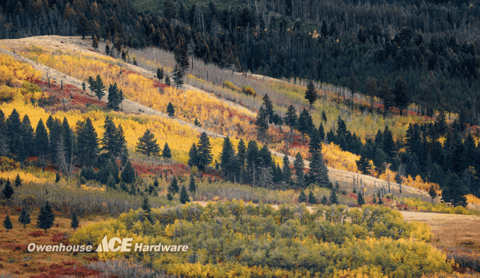 Bozeman Fall Season Bozeman Fall