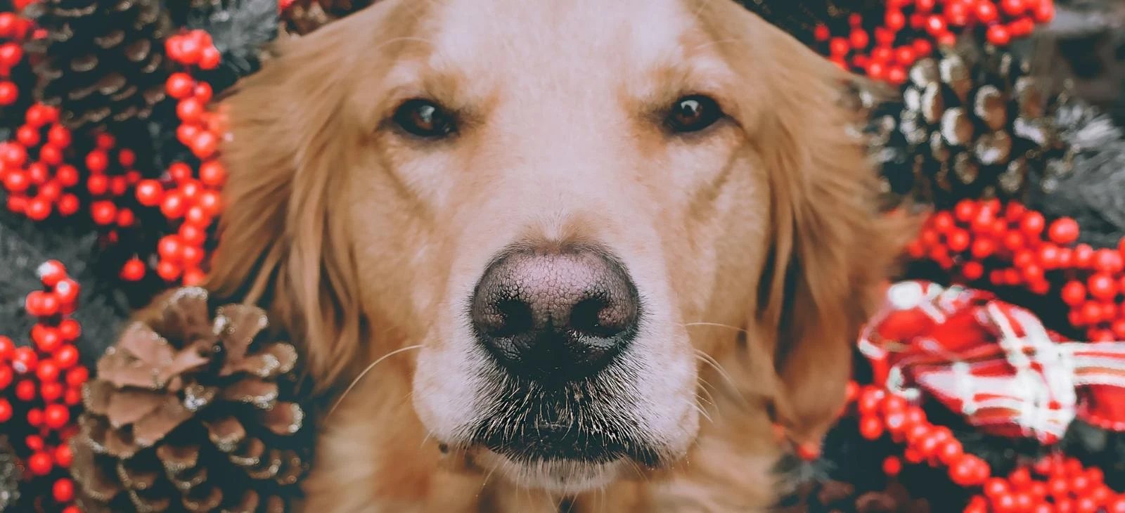 Services and products Great gifts