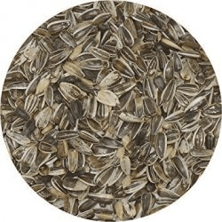 Striped-Sunflower-Seed