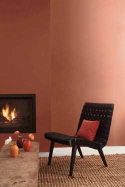 Cinnamon by Benjamin Moore
