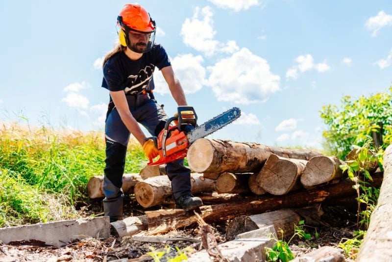 man cutting wood with chainsaw that needs resharpening man cutting wood with chainsaw that needs resharpening