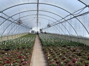 inside of visser greenhouse interior