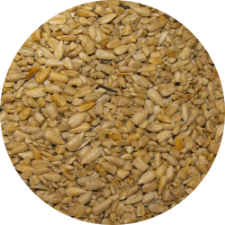 Seed-Circle-Medium-Chips