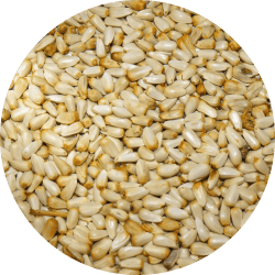 Seed-Circle-Safflower