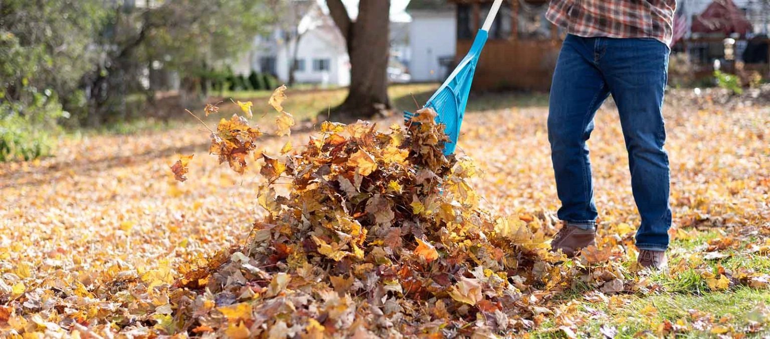 picture of man raking leaves in the fall