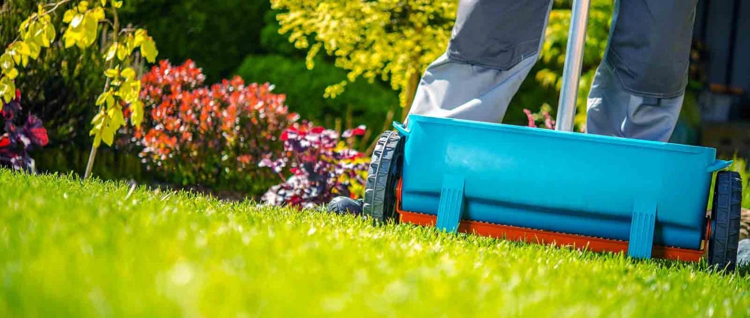 light blue push fertilizer on green grass