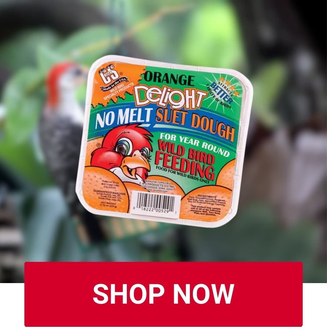 Suet Cake Owenhouse Ace Hardware