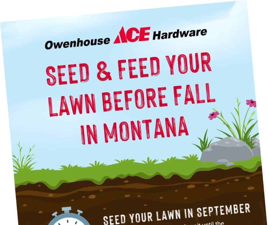 Seed & Feed your lawn before fall in Montana infographic snippet 