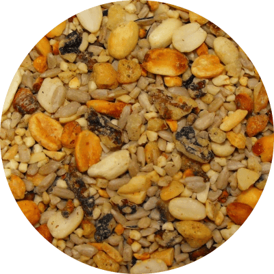 Seed-Circle-Patio-Mix