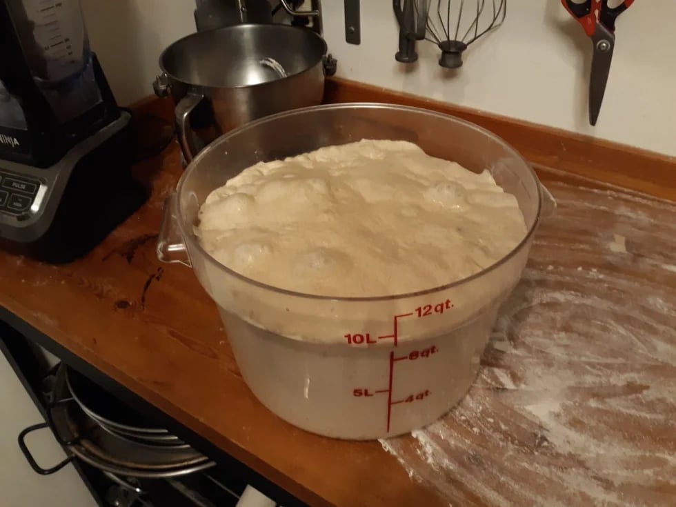 letting bread dough rise