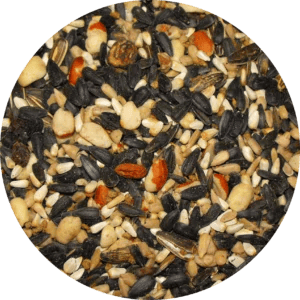 Seed-Circle-Big-Sky-Blend