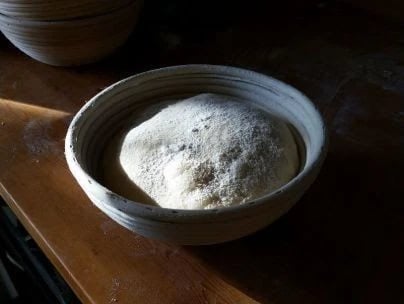 placing shaped dough into a banneton