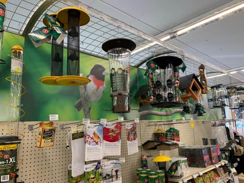 Ace Owenhouse Bird Feeders