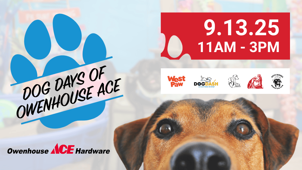 Dog Days Owenhouse Ace 2025