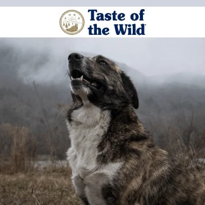 What is Taste of The Wild Pet Food & Why do We Recommend It?