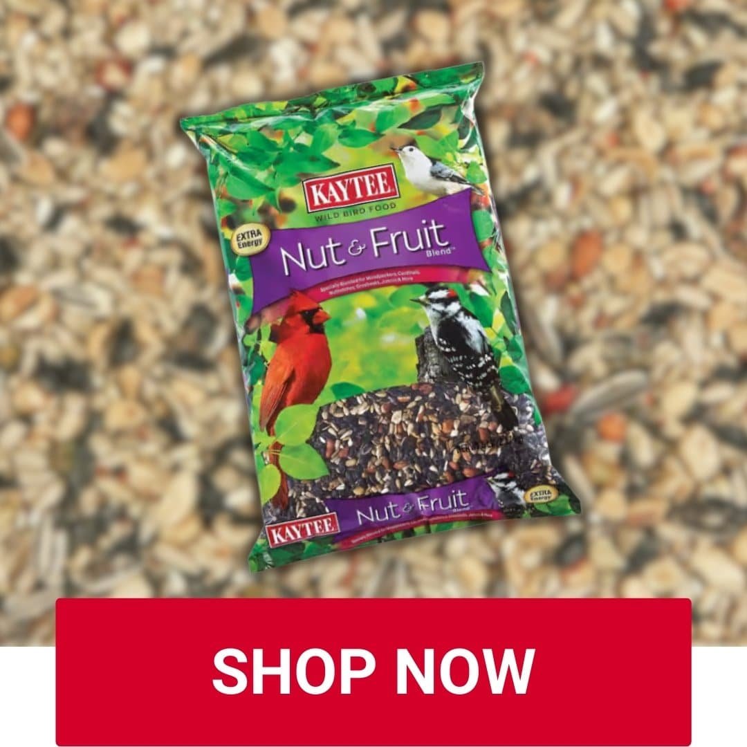 Nuit and Fruit Seed Mix at Owenhouse Ace Hardware