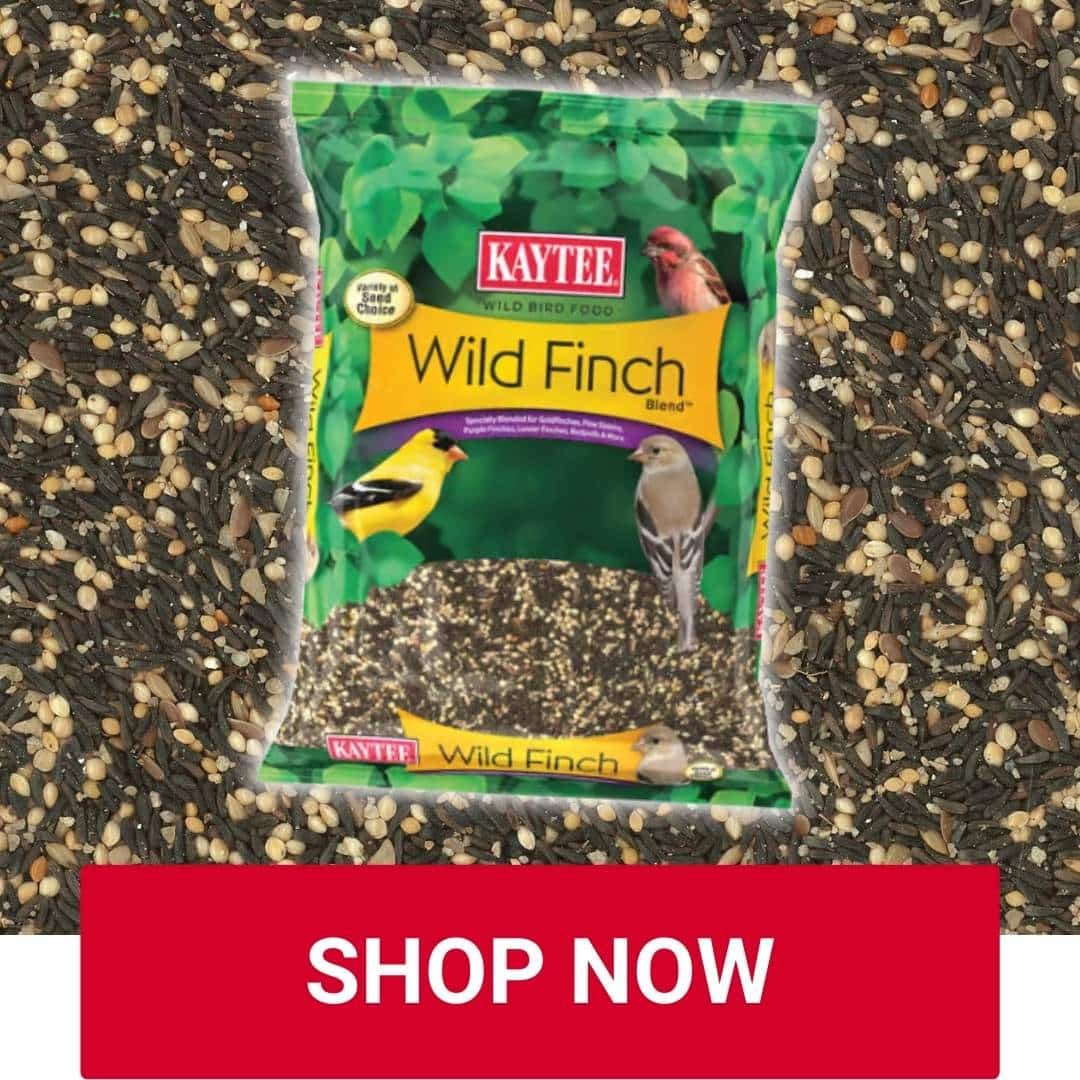 Wild Finch Seeds at Owenhouse Ace Hardware