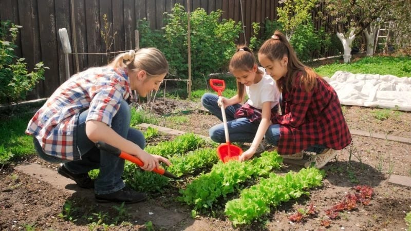 a family gardening fruits and vegetables in their home garden with help from owenhouse ace