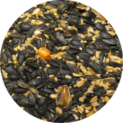 Seed-Circle-Mountain-Mix