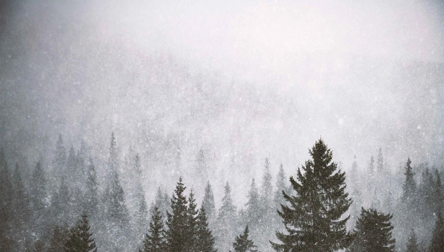 snowstorm-in-winter-mountains