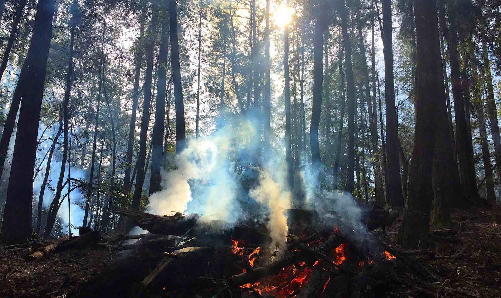 forest fire in bozeman montana