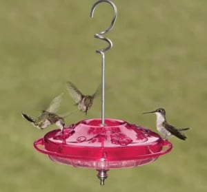 Hummingbirds drinking from their feeder
