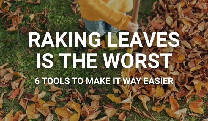 Raking Leaves Is the Worst – 6 Tools to Make It Way Easier