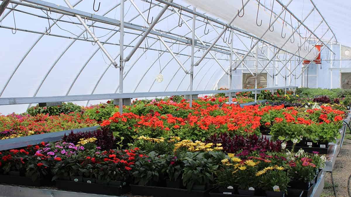 special k ranch special k ranch