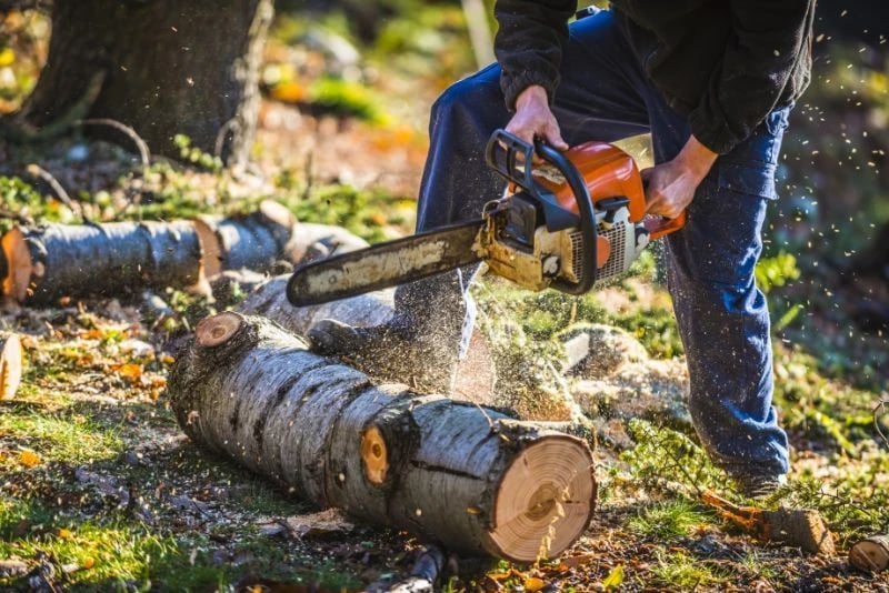 cutting wood with a chainsaw in bozeman montana