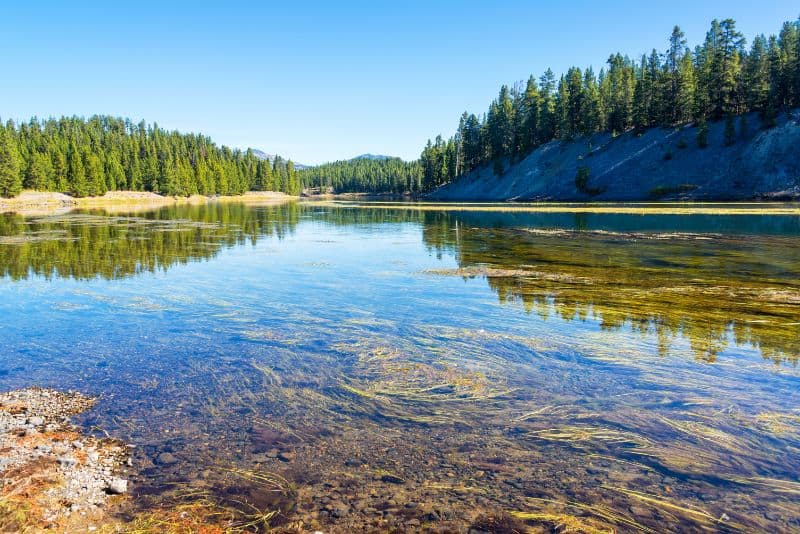 yellowstone river landscape